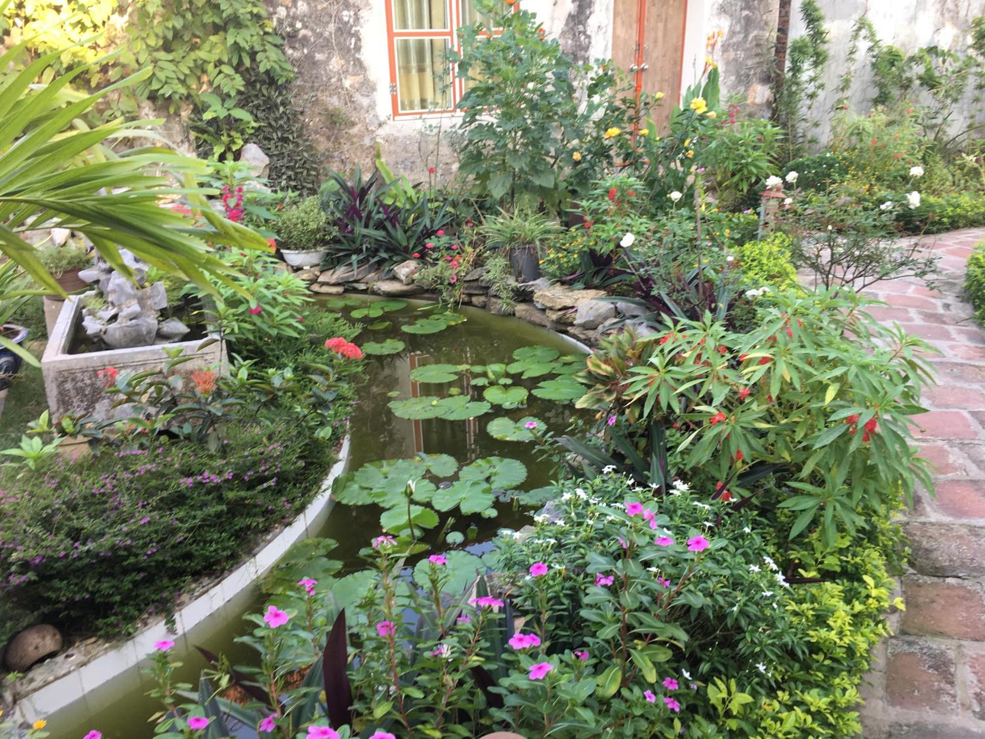 Tam Coc Palm House Βίλα Νιν Μπιν Εξωτερικό φωτογραφία